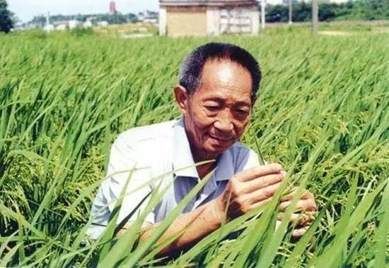 一日三餐，米香彌漫，飽食者當(dāng)憶袁公！