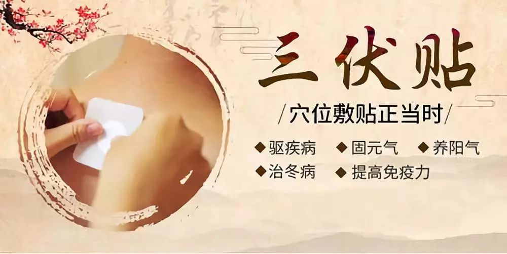 關(guān)于三伏貼，你了解多少呢？